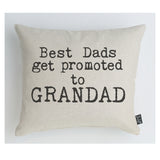 Best Dads get promoted cushion