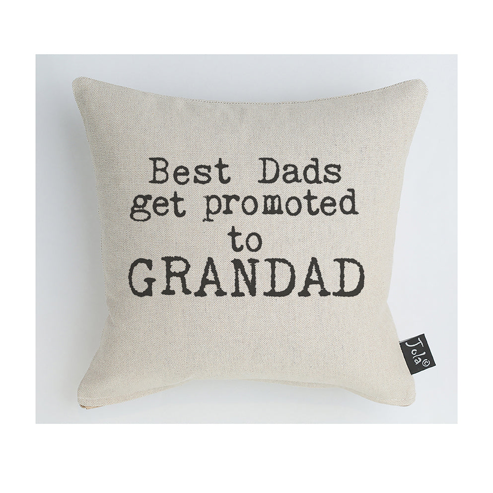 Best Dads get promoted cushion