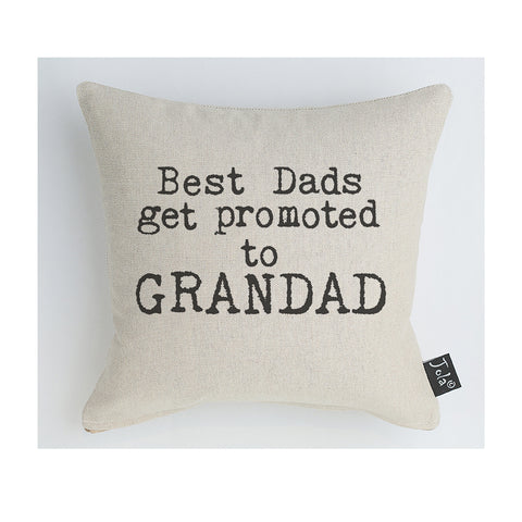 Best Dads get promoted cushion