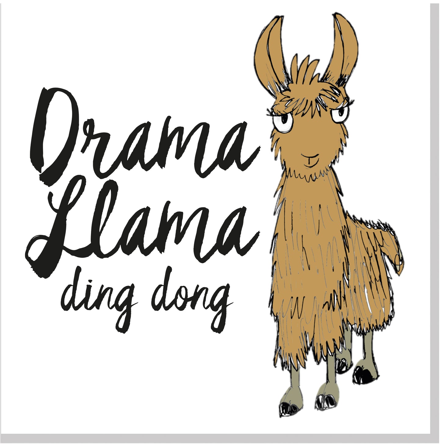 Drama Llama ding dong square card