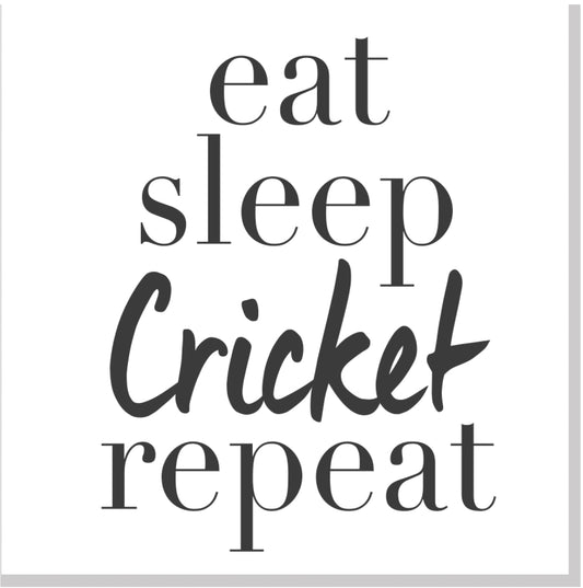 Eat Sleep Cricket Repeat square card