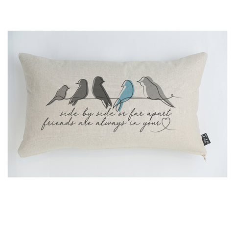 Friends apart cushion