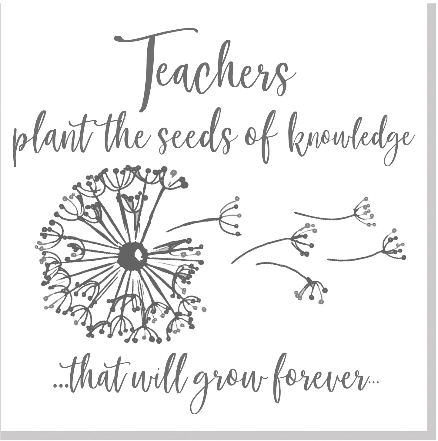 Teacher knowledge dandelion square card