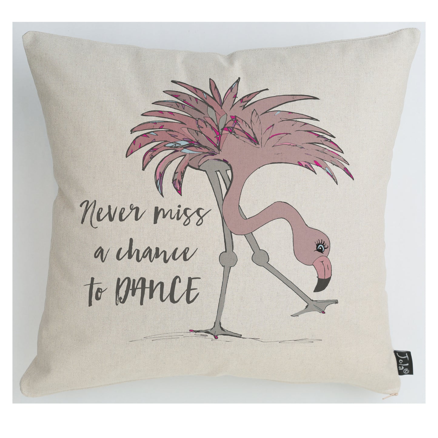 Flamingo Chance to Dance cushion