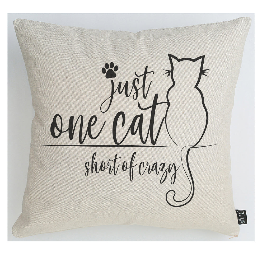 One cat short of crazy cushion