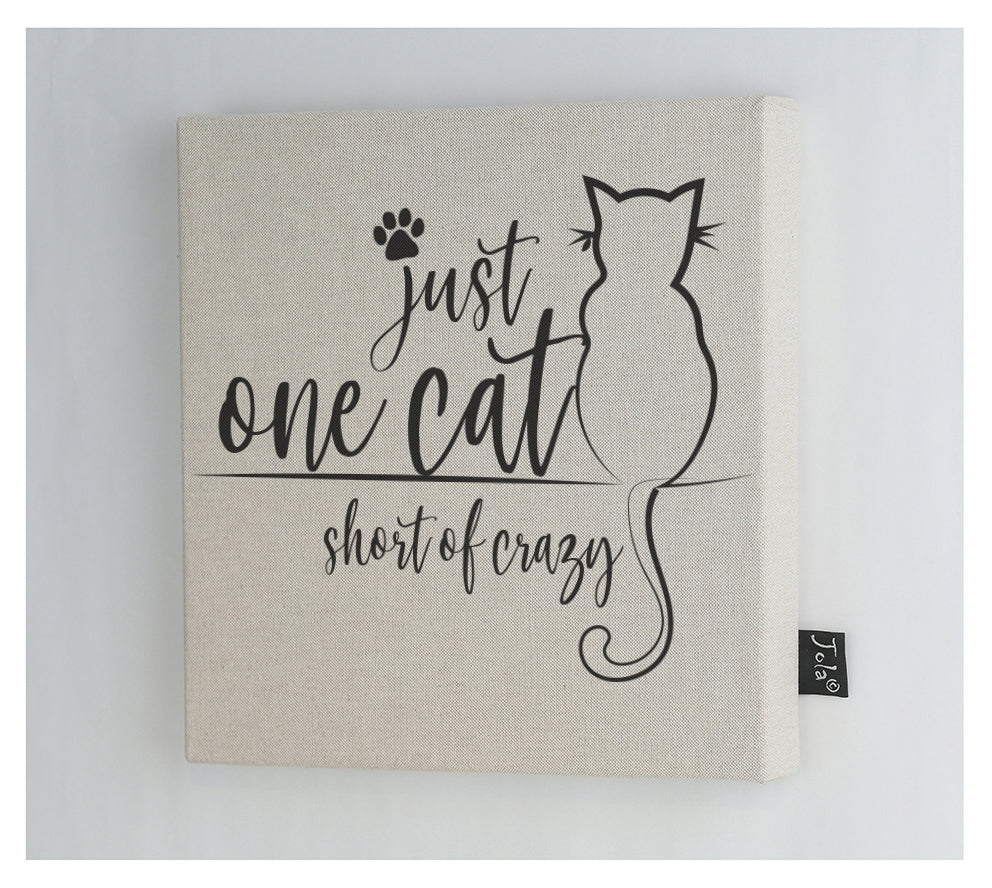 One cat short of crazy Canvas Frame