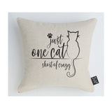 One cat short of crazy cushion
