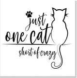 One cat short of crazy square card