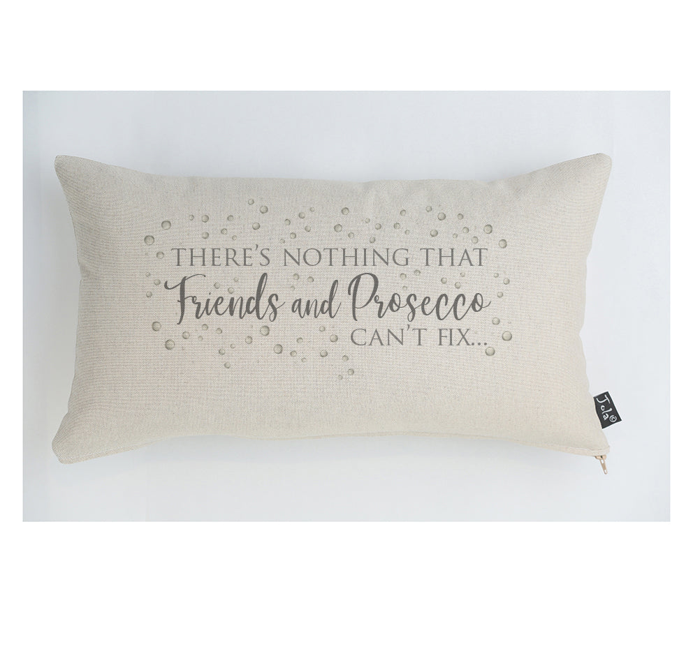 New Prosecco Friends Fix cushion