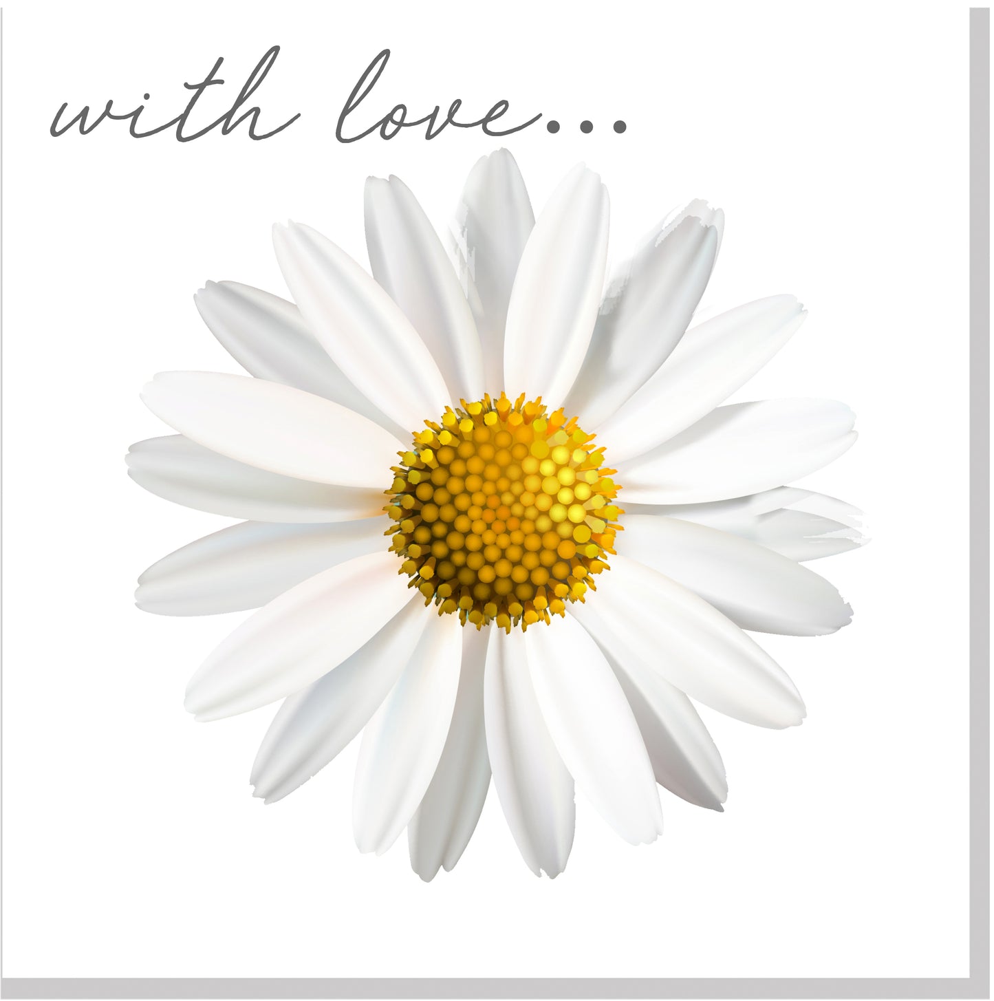 With love Daisy square card
